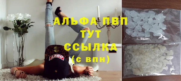 кокс Бородино