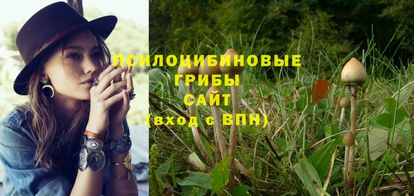 гидропоника Бугульма
