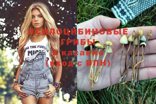 кокс Бородино