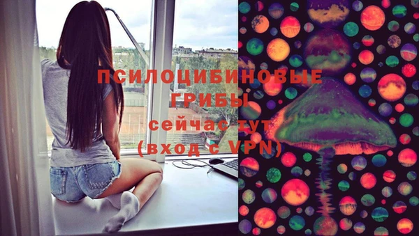 кокс Бородино