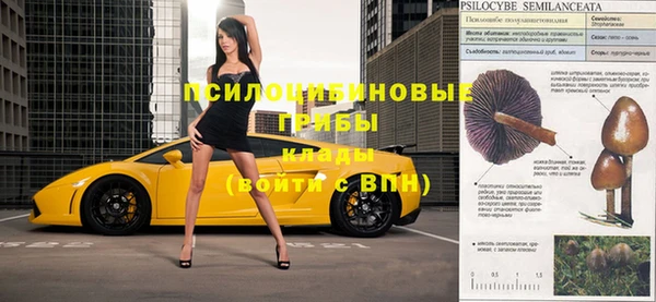 кокс Бородино
